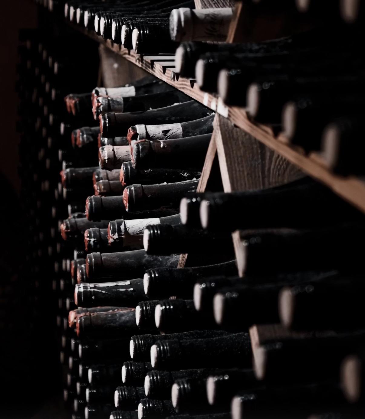 Aged wine bottles in wooden rack
